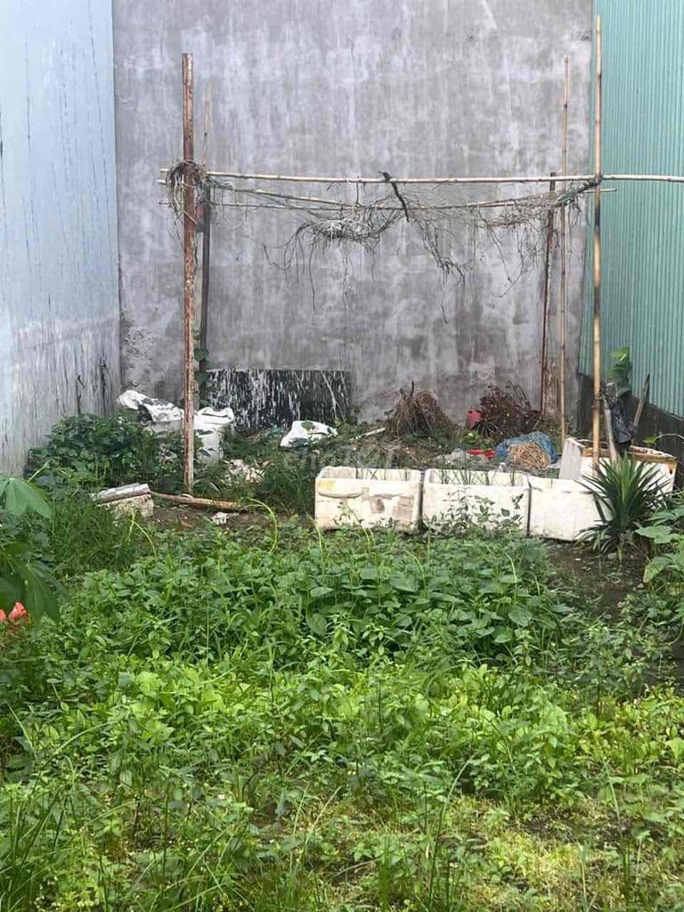 bán đất thạnh lộc 15