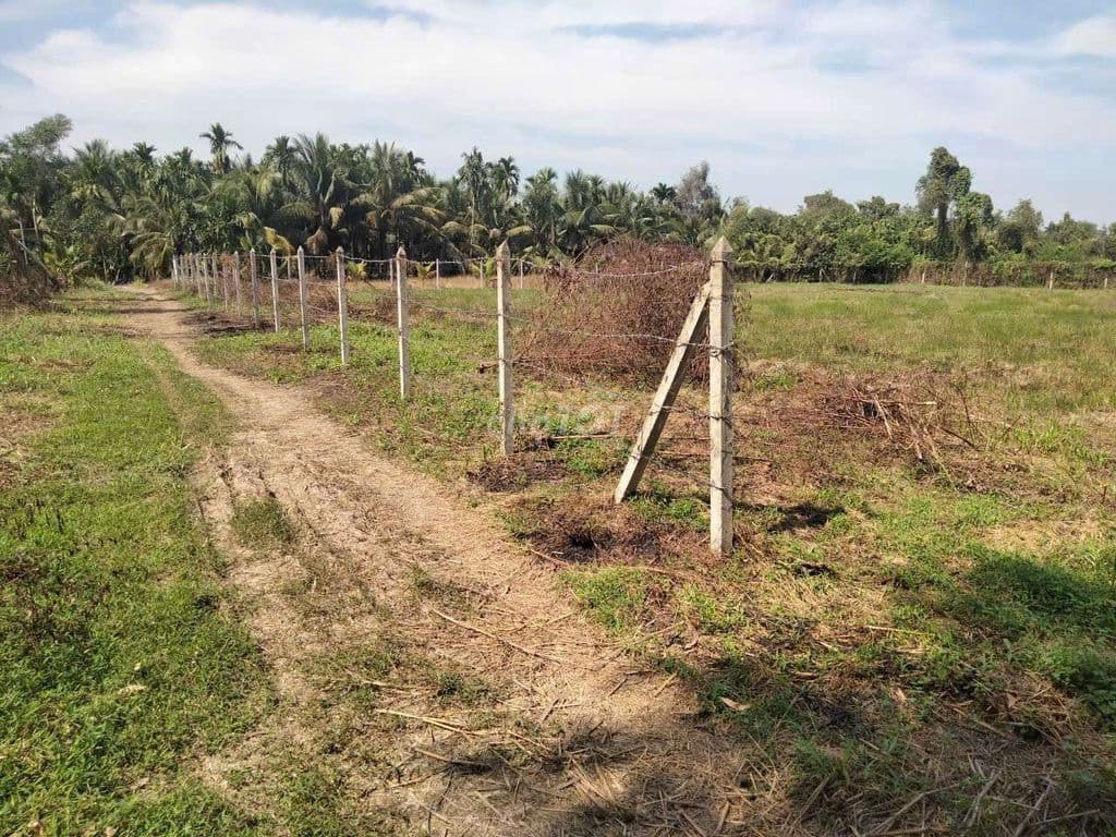 BÁN ĐẤT VƯỜN 3600M2 QUY HOẠCH KHU DÂN CƯ XÃ BÌNH MỸ - Ảnh 2