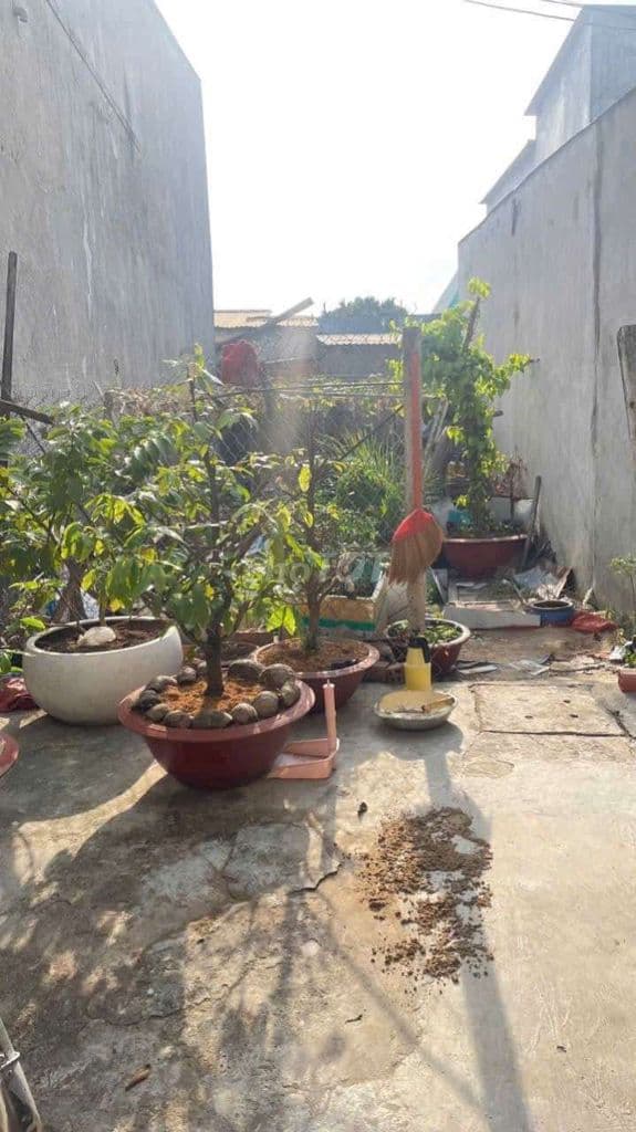 🔥🔥🔥 ĐẤT 63m2 XÂY DỰNG TỰ DO 🔥🔥🔥