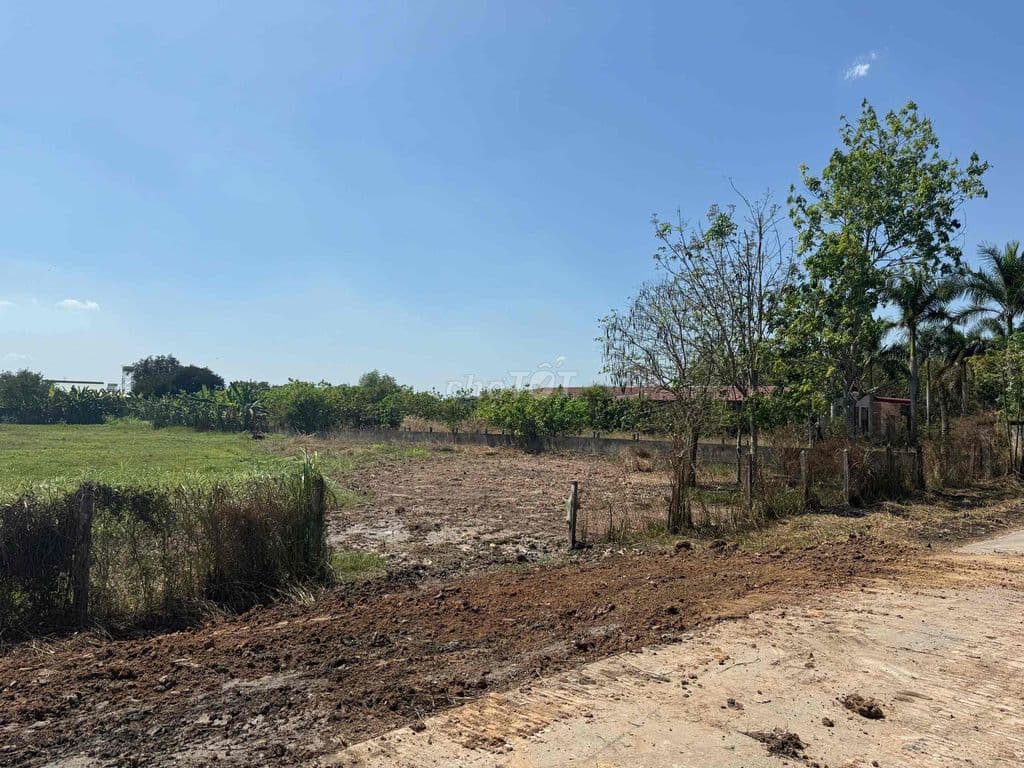 Bán 3626m2 đất, có 1500m2 thổ cư, ngang 34 x 107m, Phước Thạnh, Củ Chi - Ảnh 2