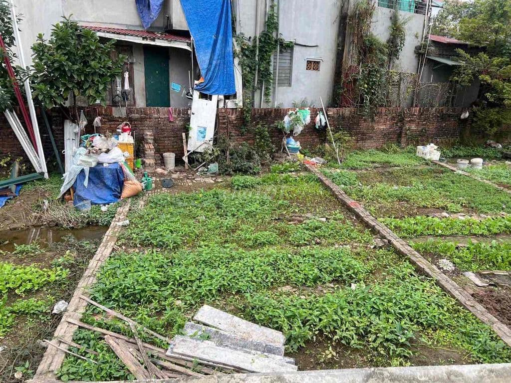 CC cần bán đất Đa Tốn -Gia Lâm ô tô vào tận đất, giá nhỉnh 3tỷ xíu - Ảnh 2