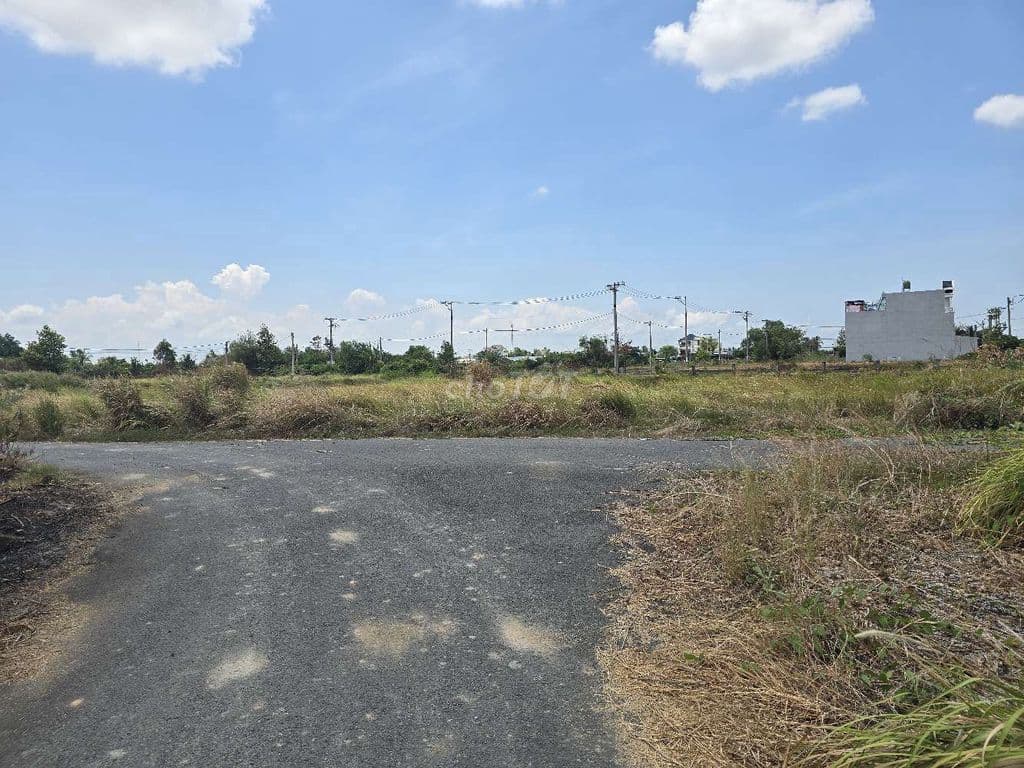 cần bán đất Cần Đước - Ảnh 3