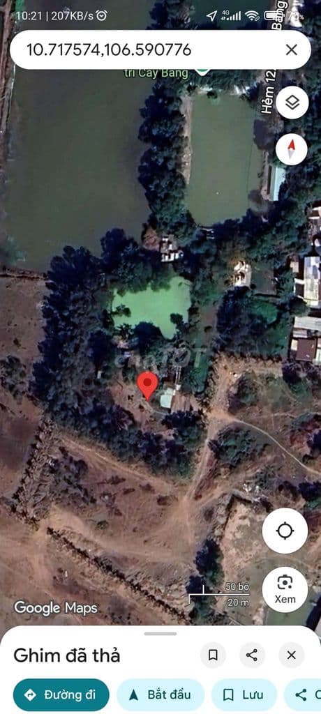 BÁN ĐẤT TRỒNG CÂY LÂU NĂM XÃ TÂN NHỰT ( TÂN KIÊN-BÌNH CHÁNH)