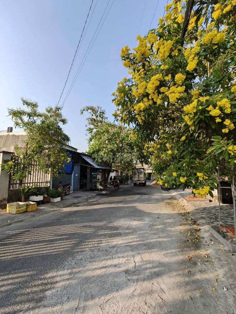 Đất 295m2 Full Thổ Cư Mặt Tiền Đường Ấp Đông 5, Thới Tam Thôn, 13 Tỷ - Ảnh 3