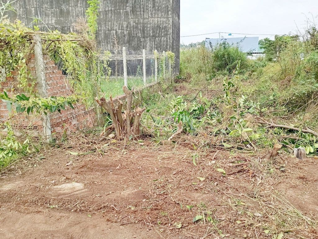 BÁN ĐẤT GIÁ RẺ 72m2 - Đ.8 LONG PHƯỚC , QUẬN 9 - Ảnh 2