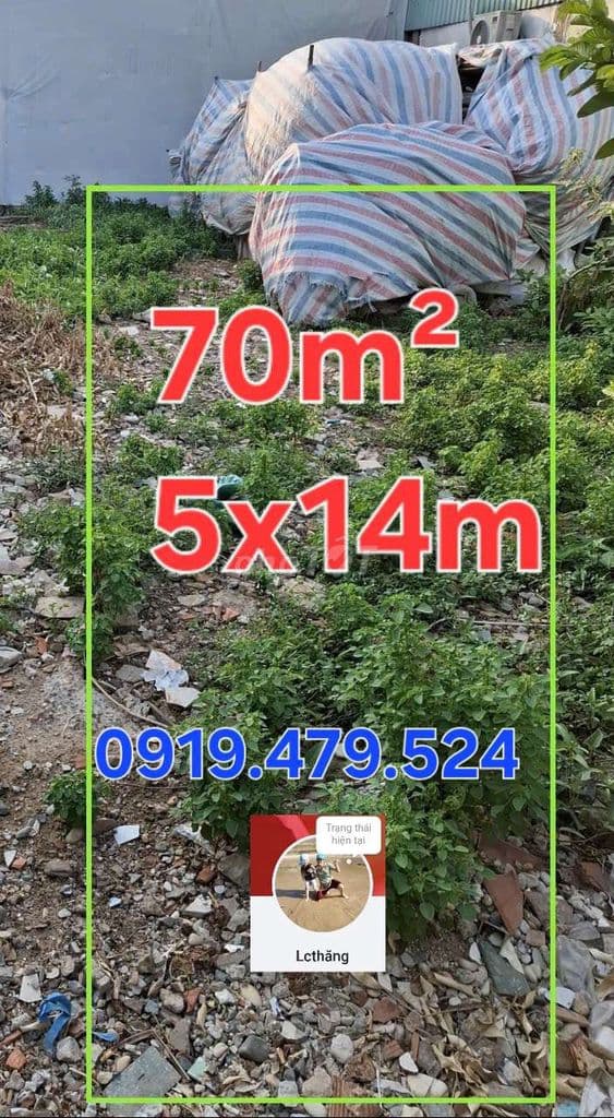 🔥 ĐẤT THỔ CƯ LÊ TRỌNG TẤN - AEON TÂN PHÚ - HXH. 70M² CHỈ 5,2 TỶ TL. - Ảnh 2