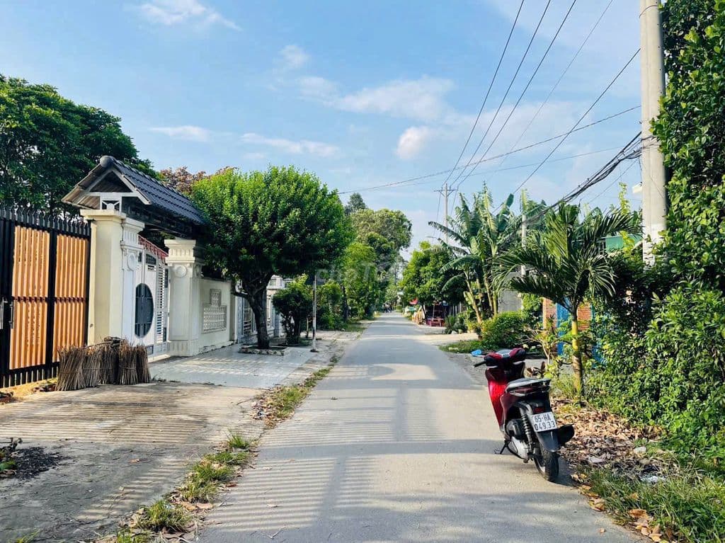 SIÊU PHẨM LÔ ĐẤT 261m2 NẰM NGAY 1 SẸC TỈNH LỘ 2 XÃ CỦ CHI MỚI - Ảnh 2