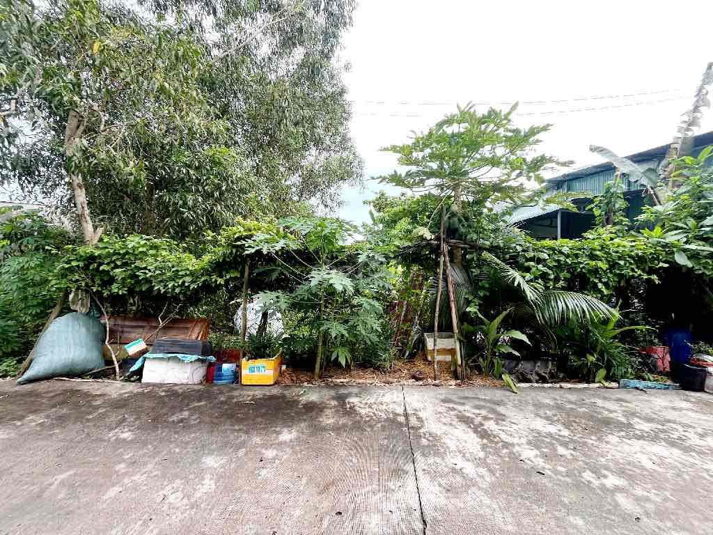 🌿 ĐẤT MẶT TIỀN ĐƯỜNG 6M – 120M² – SHR – AN HẠ, VĨNH LỘC A, BÌNH CHÁNH - Ảnh 3