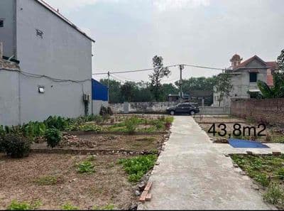 Đất thổ cư đường oto - Ảnh 3
