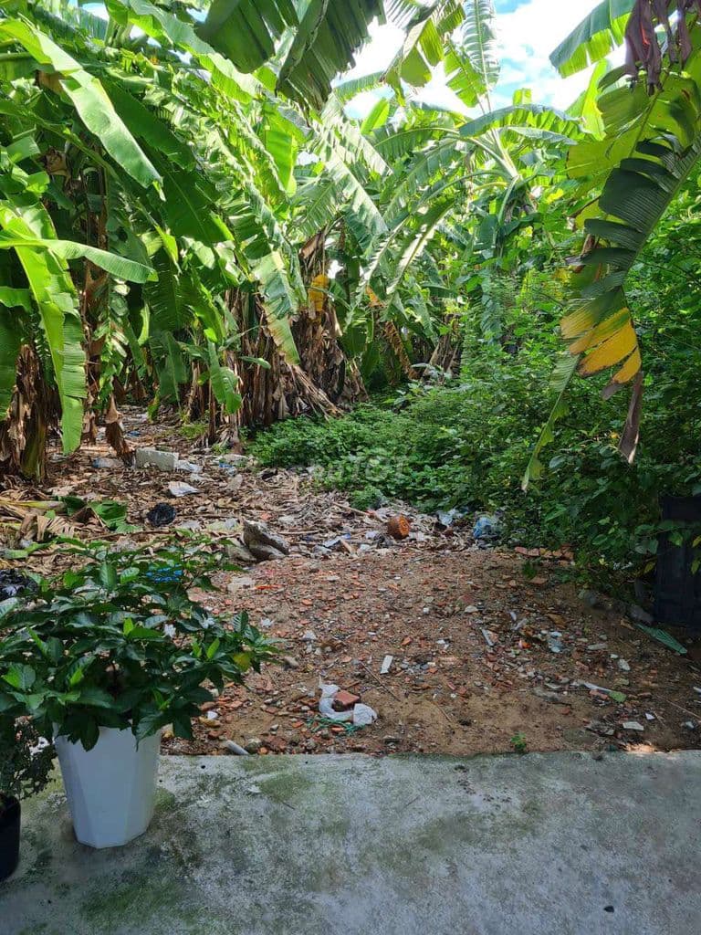 BÁN ĐẤT THỔ CƯ 123M2 GẦN THẠNH XUÂN 23 30M. - Ảnh 2