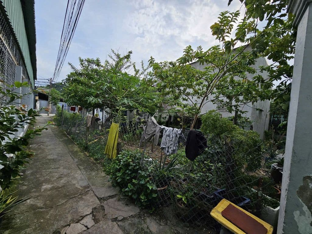 Bán đất phường tân phú, Quận 9 - Ảnh 3