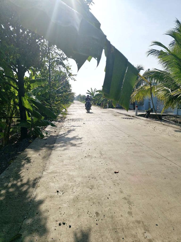 Đất Cây Lâu Năm Bình Mỹ Củ Chi 500m2 Mặt Tiền Đường 174 Giá 2.4 Tỷ - Ảnh 3