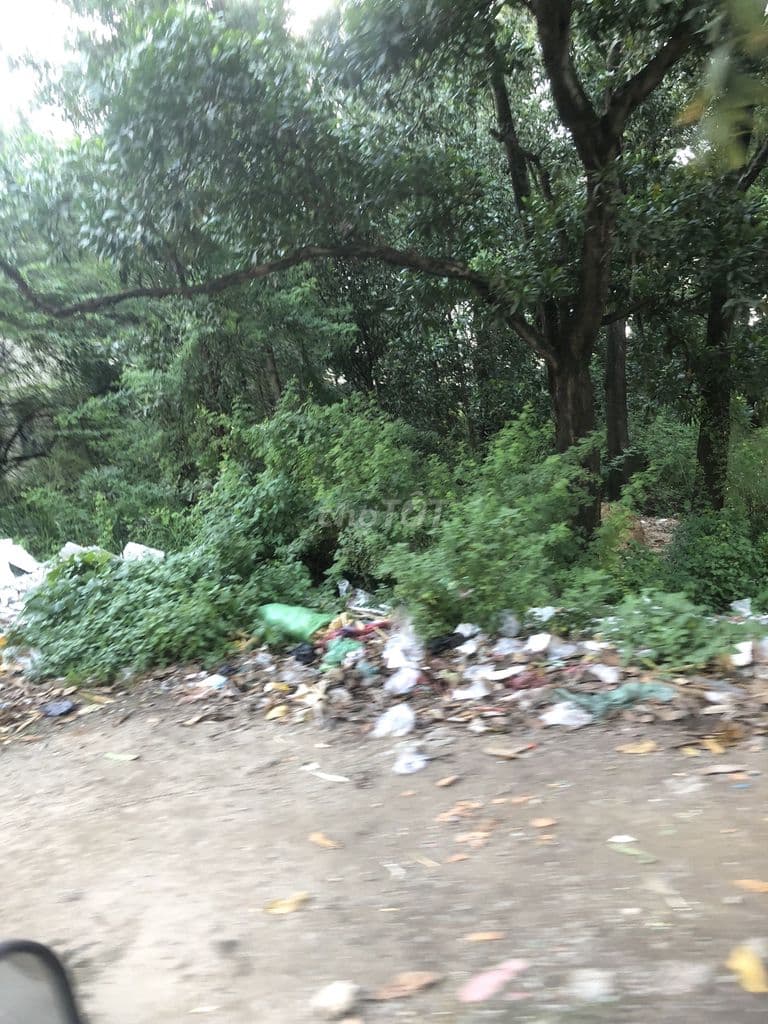 bán đất mặt tiền Ngô Chí Quốc, Linh Chiểu, Thủ Đức. sổ hồng giá 6.5 tỷ - Ảnh 2