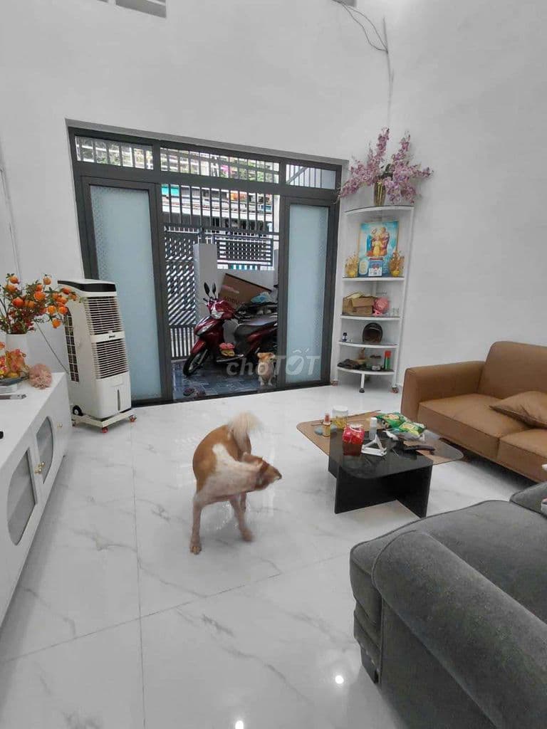 BÁN NHÀ 1 TRIỆT 1 LỬNG - Ảnh 2
