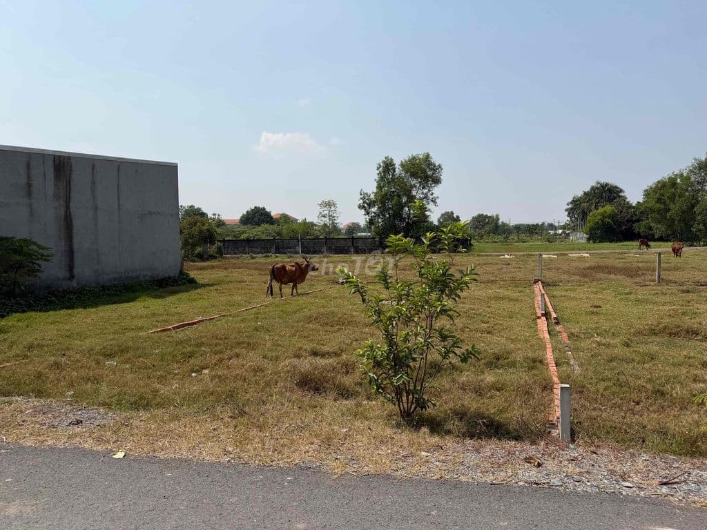 Lô 111m2 bán gấp giá dưới một tỷ mặt tiền Đ.Basa Phước Hiệp