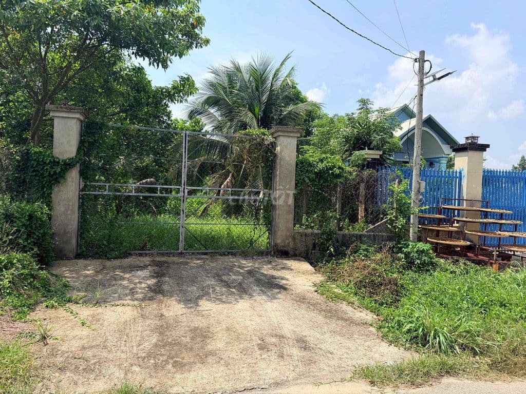 CCG: Đất mặt tiền Nguyễn Thị Măng xã Thái Mỹ Củ Chi - Ảnh 2