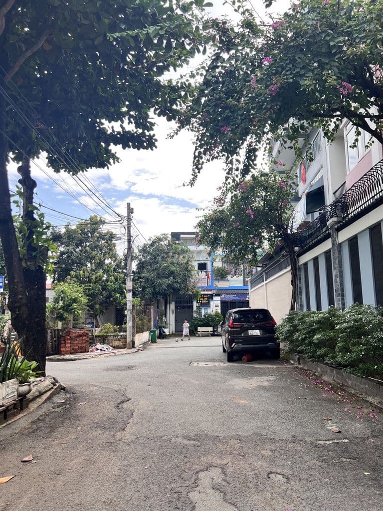 ĐẤT 66M2 5,2MX13M HXH D836 - Ảnh 2