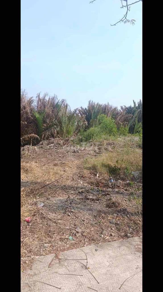 chinh chủ bàn - Ảnh 3