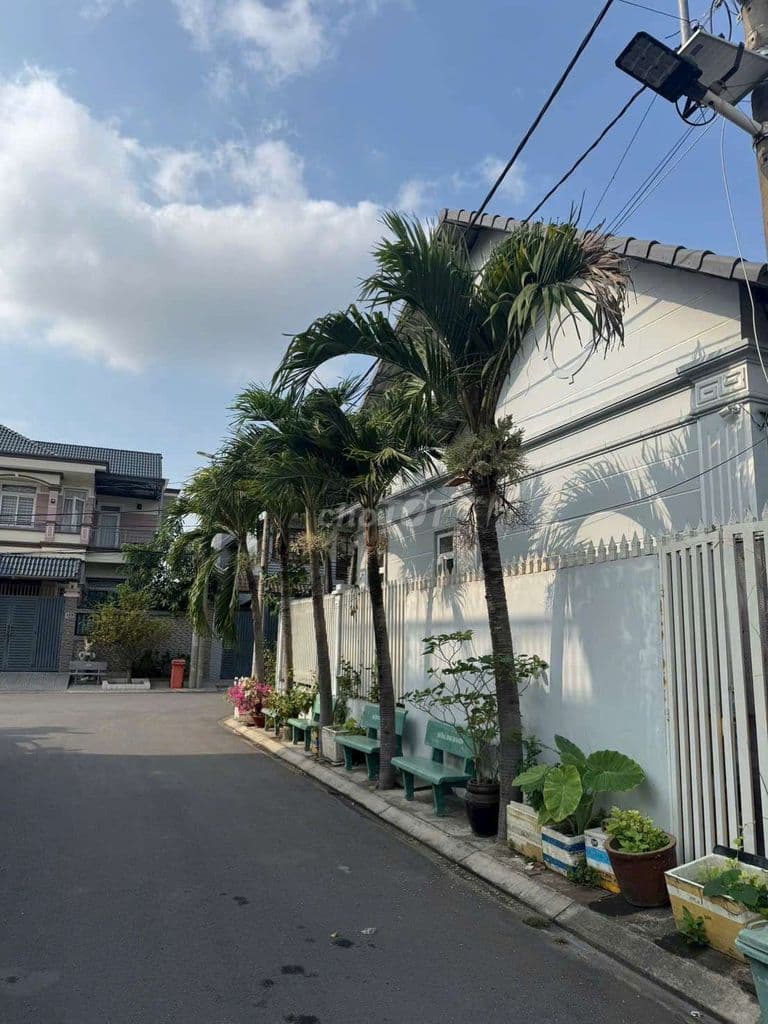 Bán đất biệt thự đường 20 Hiệp Bình Chánh, Thủ Đức ngay gigamall