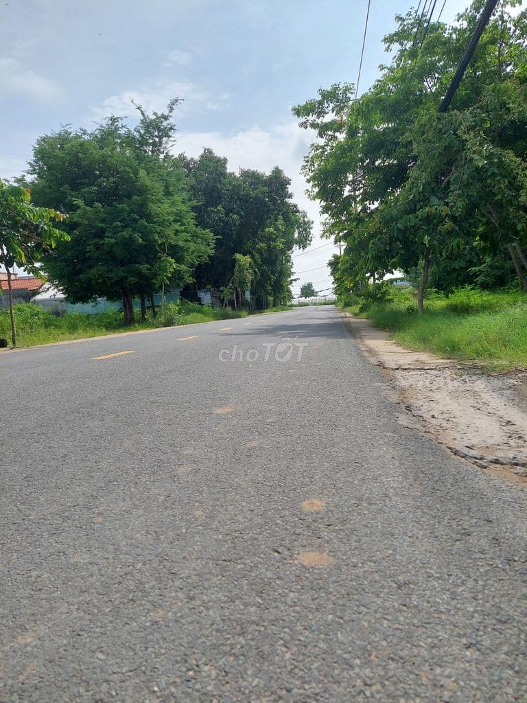 Cần bán 1.300 m2 tại Long Hòa – Cần Giờ - TPHCM - Ảnh 3