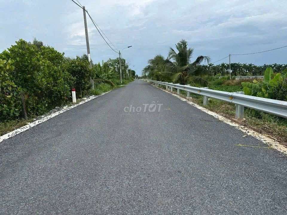 Bán đất 2800m² Mặt tiền kênh 8 đường vườn Thơm Bình Lợi Bình Chánh - Ảnh 2