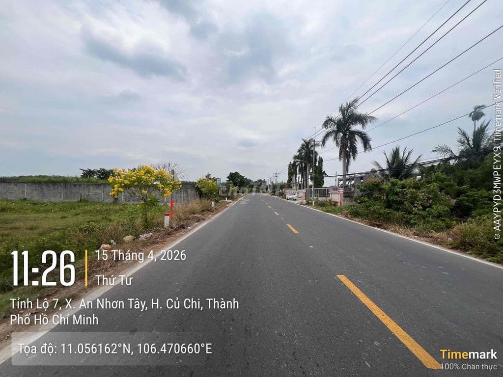 Chủ gửi Củ Chi - Ảnh 2