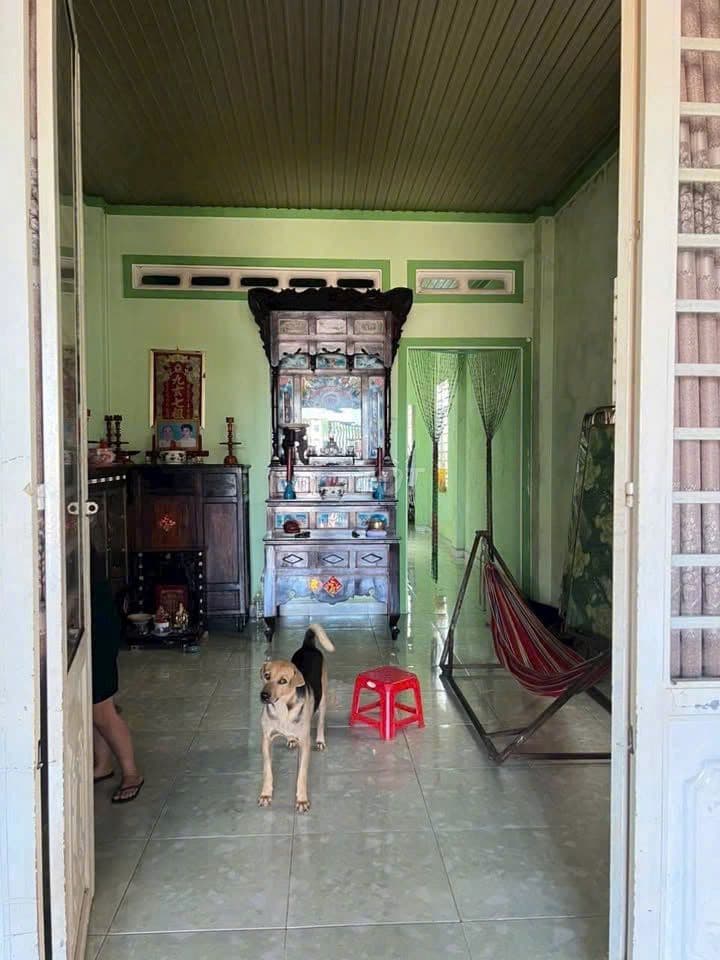 Bán gấp nhà c4 đường Lê Thị Sắc, Tân Phú Trung, 112m2, 1 tỷ 50tr , SHR - Ảnh 3