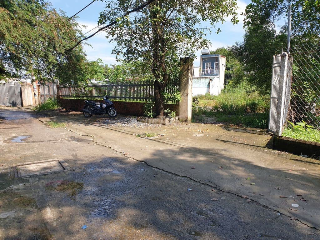 Đất thổ cư DT 16x40, đường xe tải, gần chợ Xuân Thới Sơn - Hóc Môn - Ảnh 3