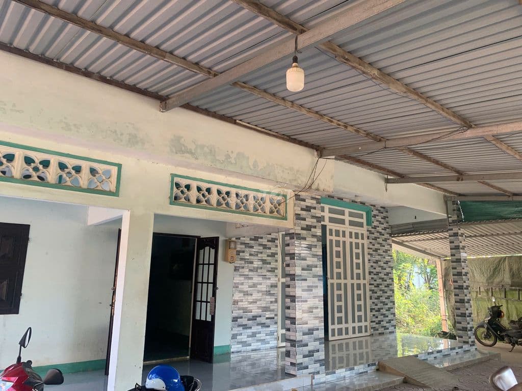 Bán đất 4300m2 tặng 2 căn nhà 1/ nguyễn thị rành củ chi - Ảnh 2