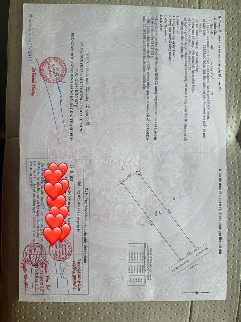 Bán đất 3238m2 Vườn Thơm Kênh 8 Xã Bình Lợi - Ảnh 2