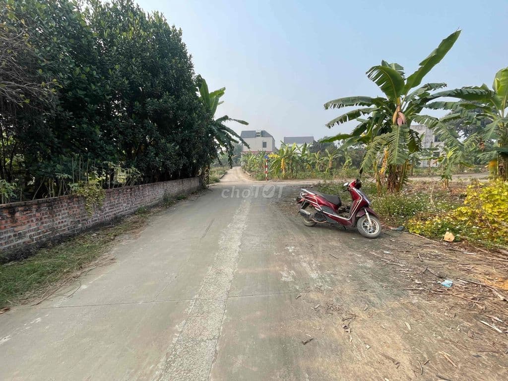 103m Sen Trì trục chính đường thông Bình Yên đường 8m