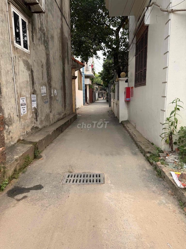 Cầu Mai Lĩnh - Biên Giang - Chương Mỹ - Ảnh 3