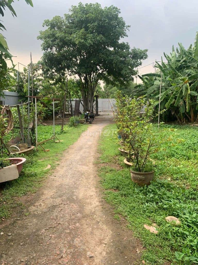 Bán đất đường số Nguyễn Duy Trinh - Tp.Thủ Đức. DT 645m2