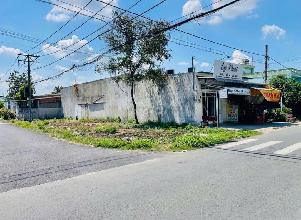 CẦN BÁN GẤP LÔ GÓC 217m2 THÔ CƯ NGAY MẶT TIỀN ĐƯỜNG TRẦN TỬ BÌNH - Ảnh 3