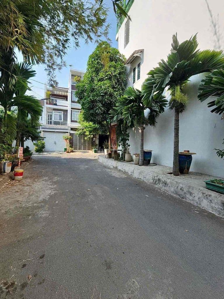 Nền Biệt Thự KDC Bình Dân - P.Hiệp Bình Chánh - Ảnh 3