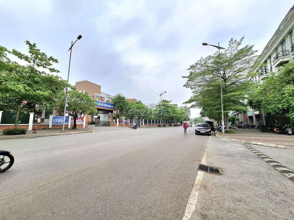 Bán đất đấu giá Thạch Bàn vỉa hè ô tô tránh kinh doanh cạnh Cổ Linh - Ảnh 2