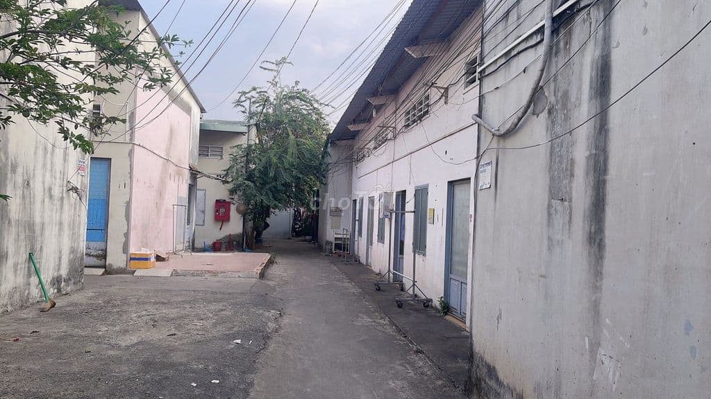 Bán nhà Trường Thọ, Thủ Đức- HXH- 243m2-full thổ cư- Dãy phòng trọ - Ảnh 2