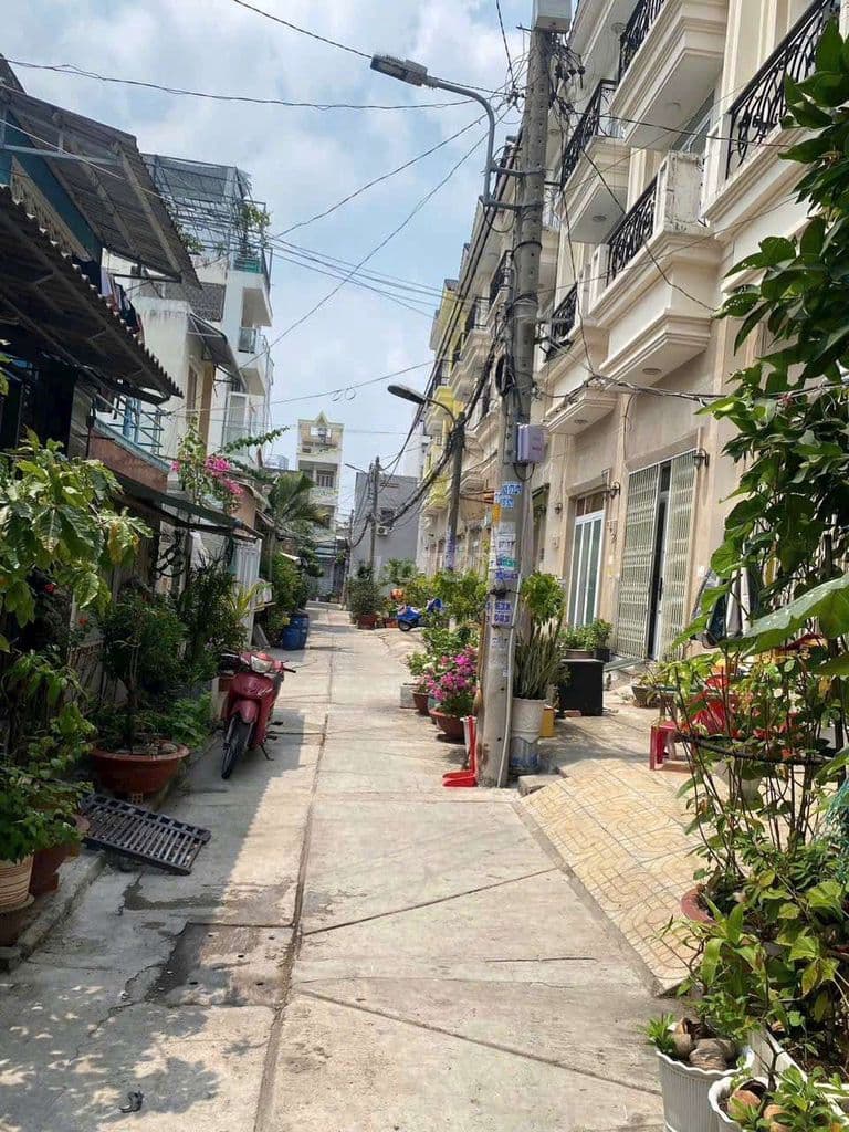 Nhà thật 4 x 20m Bùi Tư Toàn P. An Lạc TPHCM sổ riêng giá rẻ - Ảnh 3