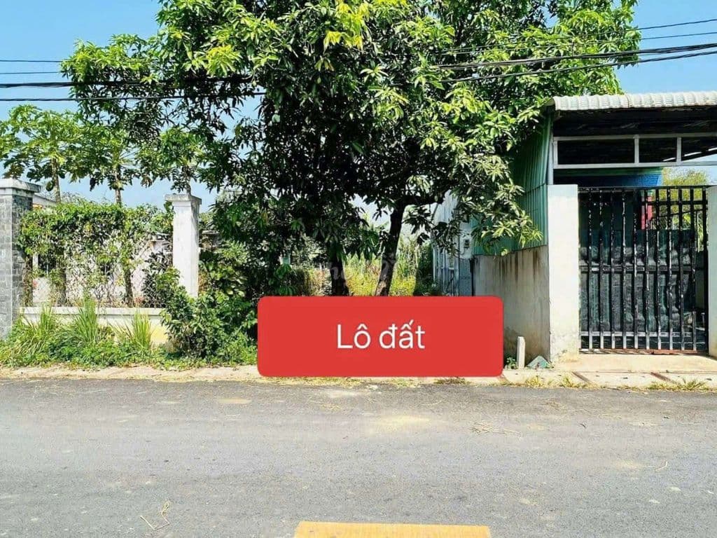 BÁN LÔ ĐẤT MẶT TIỀN NHỰA.NGAY VINHOMES HÓC MÔN - Ảnh 3