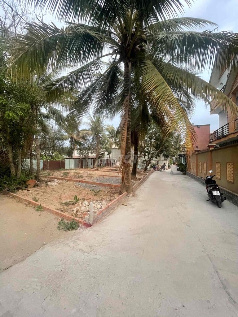 Chỉ 3ty90tr//50m2 ĐẤT Trung Tâm HXH To Đường Lò Lu - Quân 9 - Ảnh 2