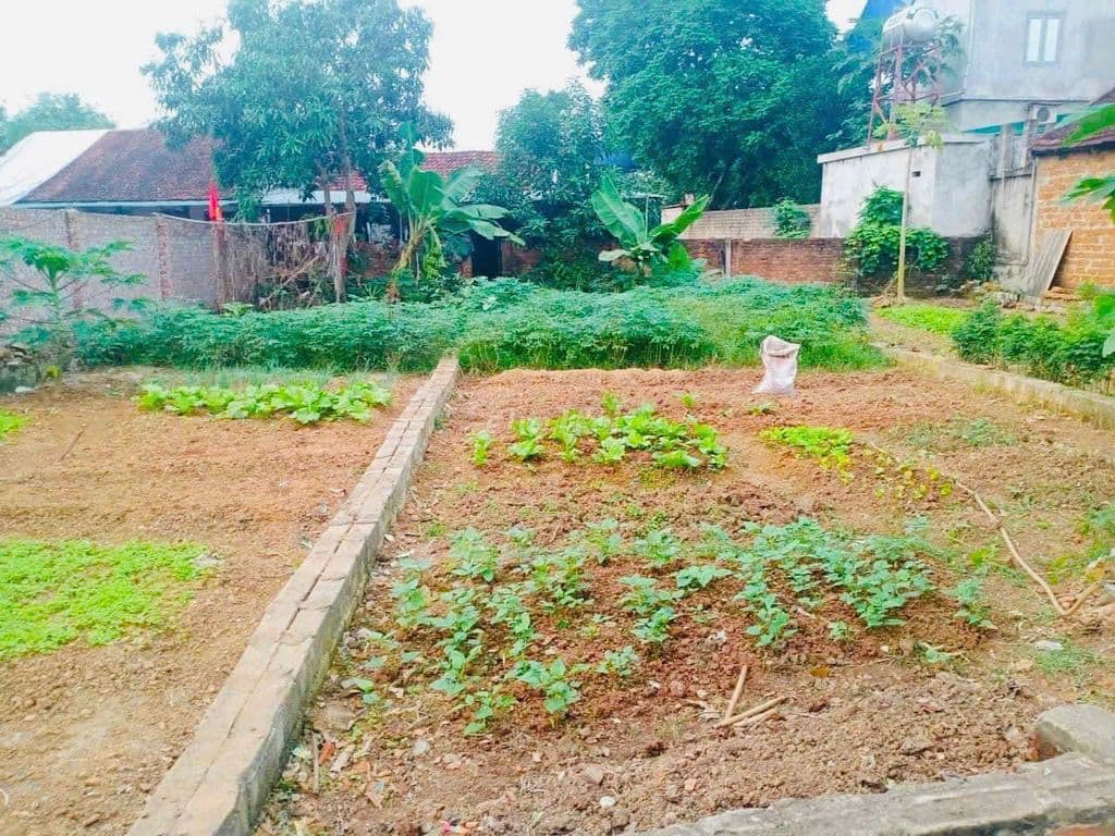 BÁN 100M² FULL THỔ CƯ TẠI PHÚ CÁT – GẦN NHÀ MÁY IN TIỀN - Ảnh 3