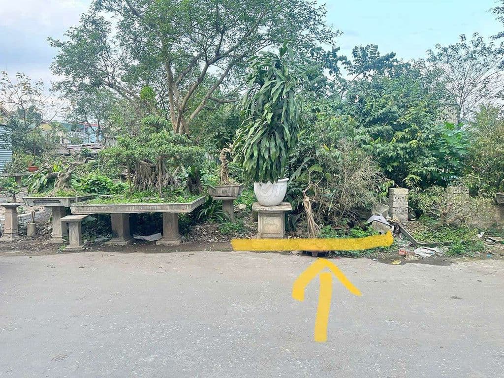 💎 CHÍNH CHỦ CẦN BÁN GẤP LÔ ĐẤT PHÚ NHI 2 - PHÚ THỊNH - SƠN TÂY 💎 - Ảnh 3