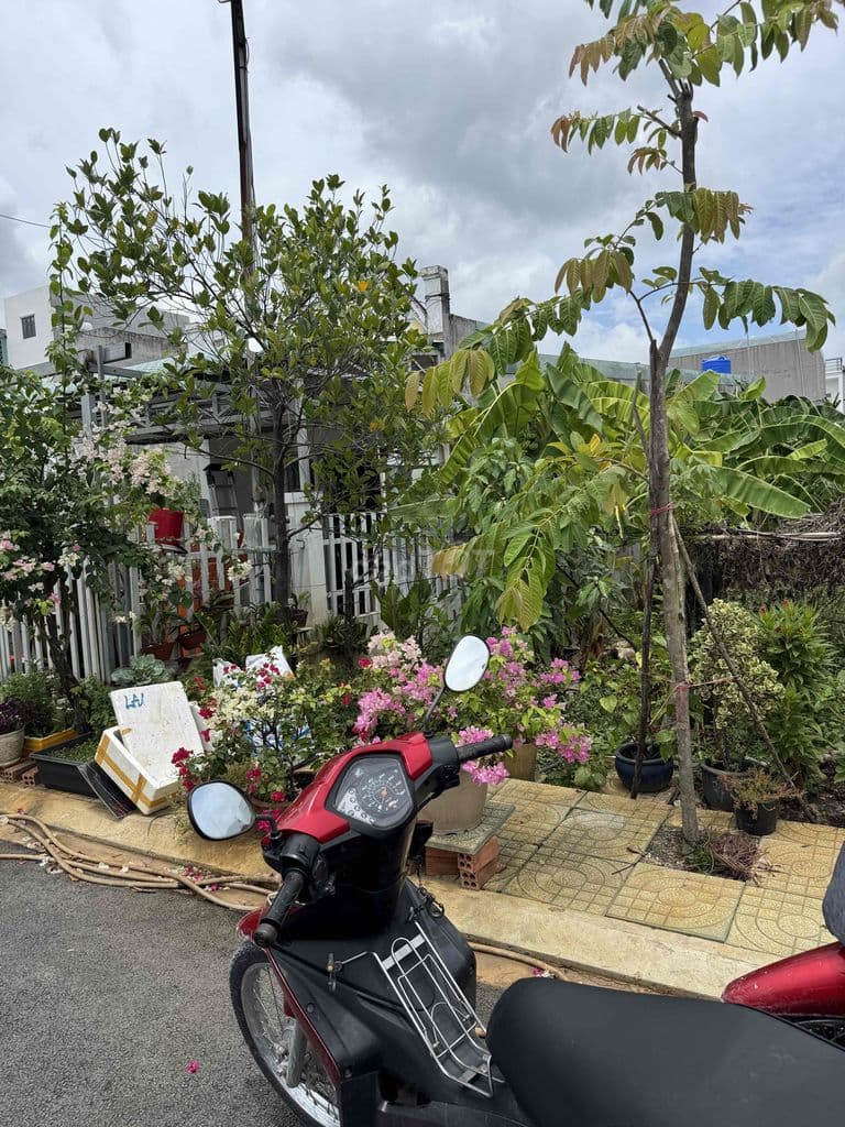 Bán đất thạnh xuân 25 , phường thới an - Ảnh 2
