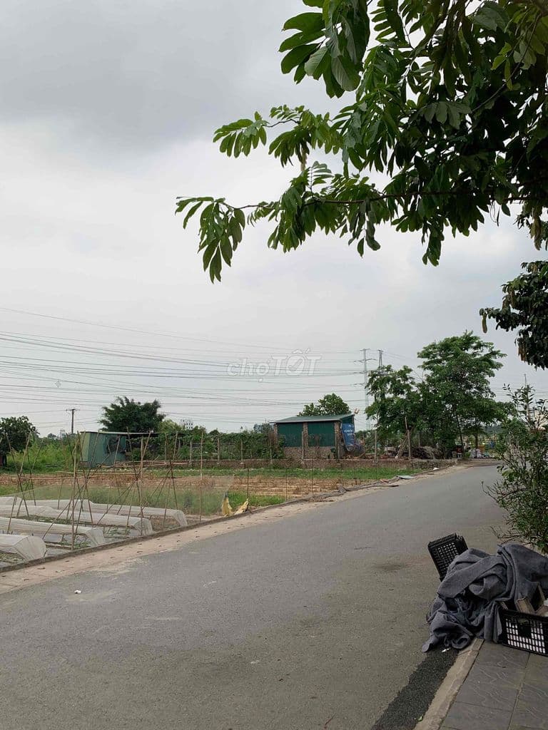 Đất nguyên Khê giá rẻ bèo nhất chỉ 40 hơn thổ cư hết sát đường 3 - Ảnh 2