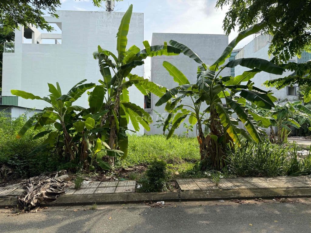 Bán nền thổ - Lã Xuân Oai - Long Trường - khu phân lô - 59m2 - 4.6 tỷ - Ảnh 3