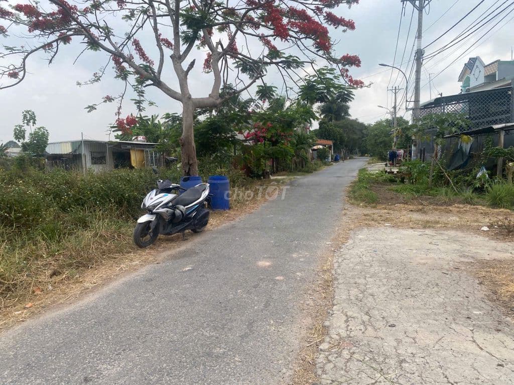 BÁN ĐẤT MẶT TIỀN 7200m2 - TÂN THẠNH ĐÔNG - CỦ CHI - Ảnh 3