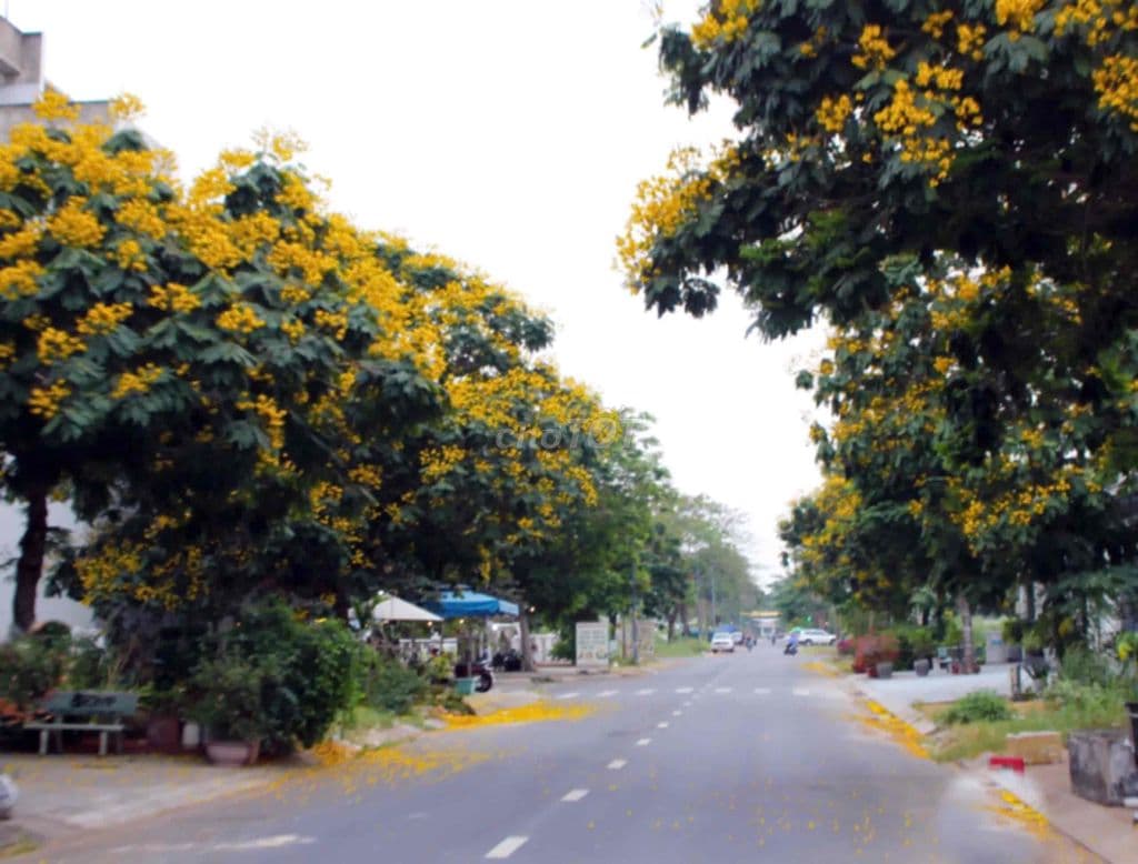 📢 BÁN ĐẤT NỀN GIÁ TỐT – CƠ HỘI ĐẦU TƯ / AN CƯ Diện tích: 5m x 20m (100