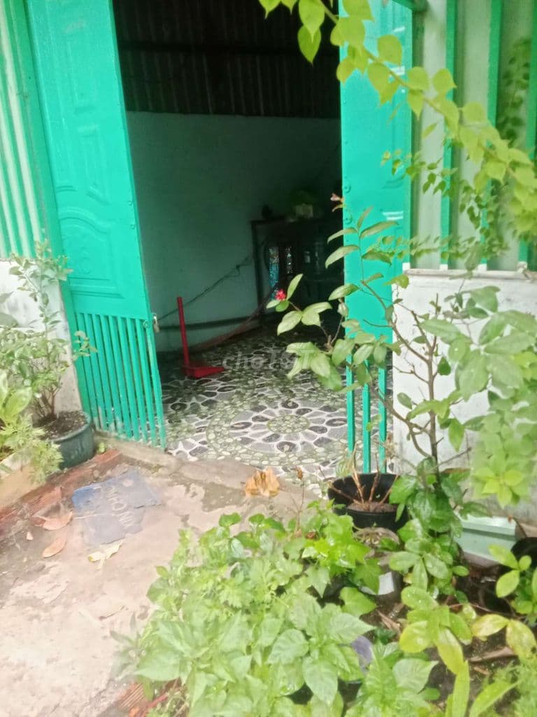 Cần tiền bán gấp nhà đường Nguyễn Thị Lèn