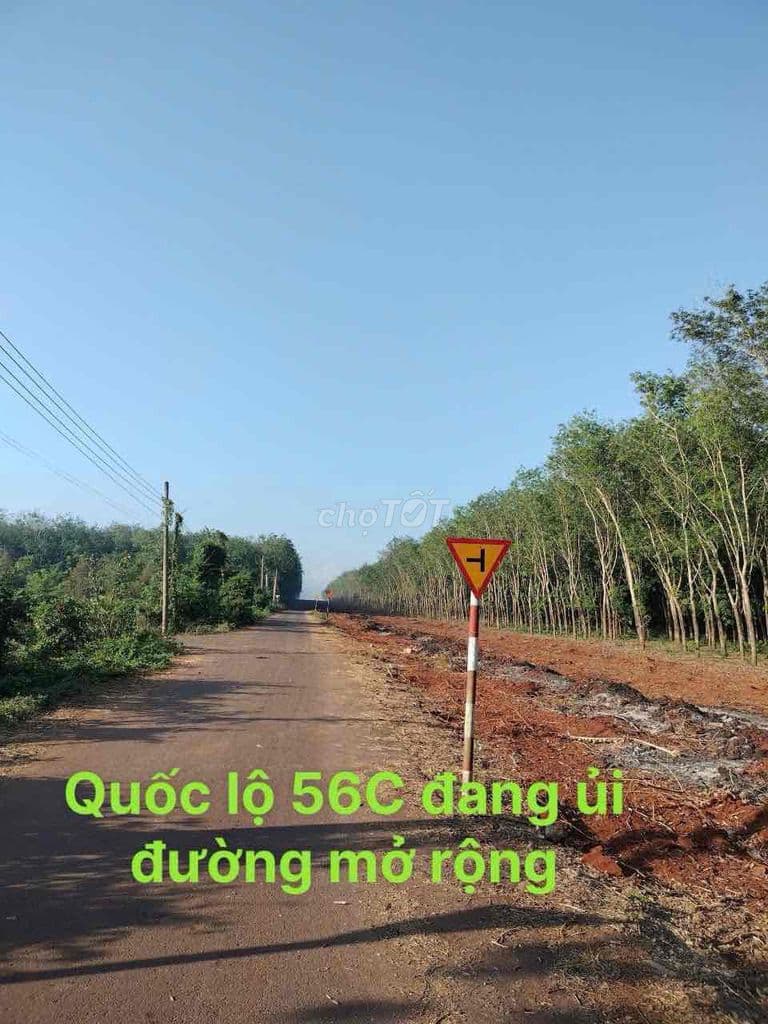 đất thổ cư cách ql56c 200m - Ảnh 3