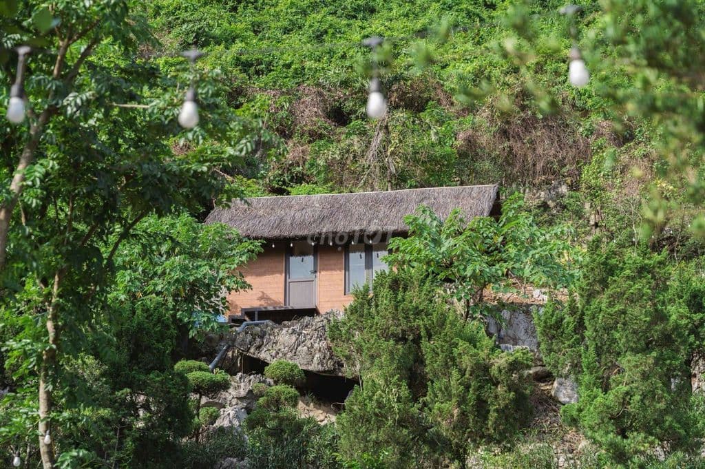 HOMESTAY VIEW NÚI CỰC ĐẸP - Ảnh 2